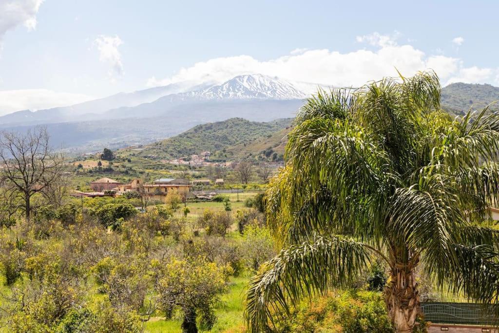 Villa Graziosa ทรัปปิเตลโล ภายนอก รูปภาพ
